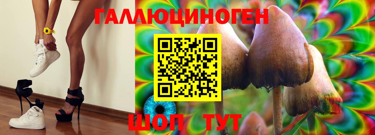 Сургут  Псилоцибиновые грибы MAGIC MUSHROOMS  Псилоцибиновые грибы MAGIC MUSHROOMS  сколько стоит  Вход с VPN 